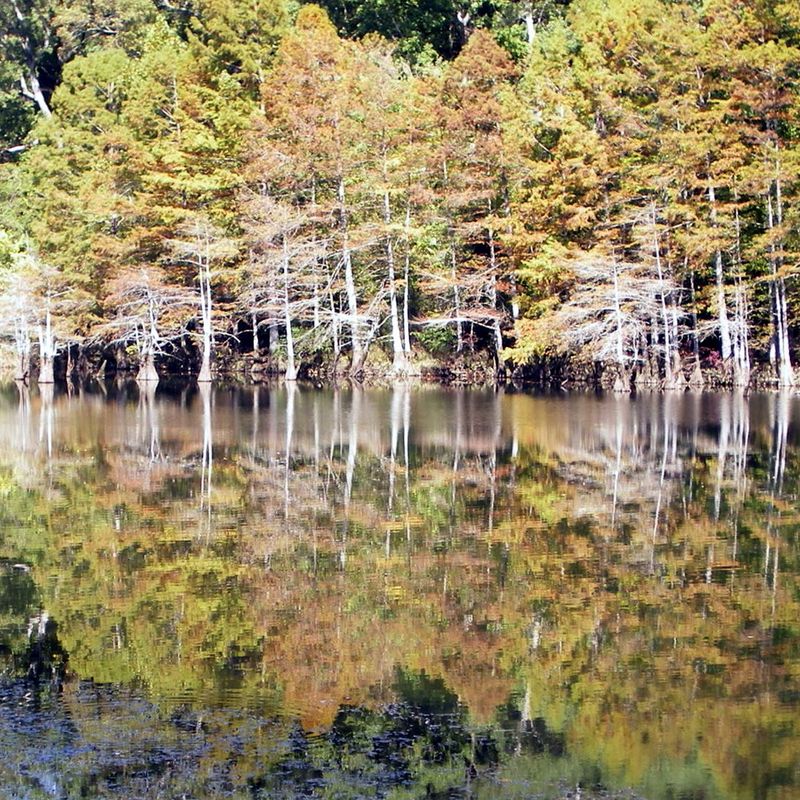 Beavers Bend Lodge Oklahoma's Official Travel